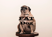 Canine Obesity is a Global Epidemic